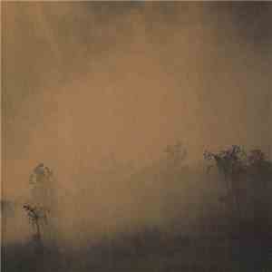 Mt. Mountain - Dust flac album