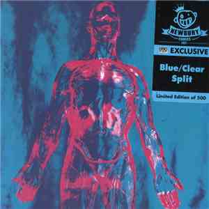 Nirvana - Sliver flac album