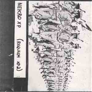NXP  - The Fine Art Of Doing Nothing flac album