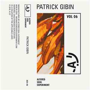 Patrick Gibin - Altered Soul Experiment 06 flac album