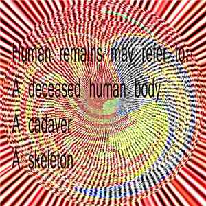 People Under The Age Of 40 - Bodies Parted flac album