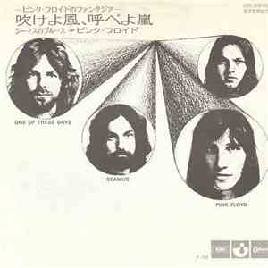 Pink Floyd - One Of These Days flac album