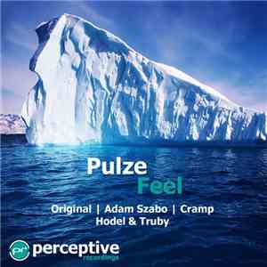 Pulze - Feel flac album