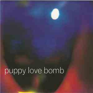 Puppy Love Bomb - Not Listening flac album