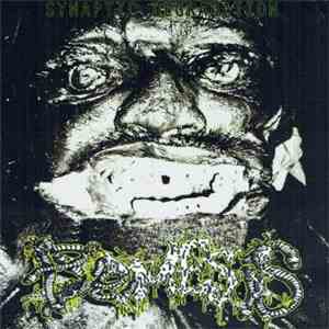 Pyemesis - Synaptic Degradation flac album