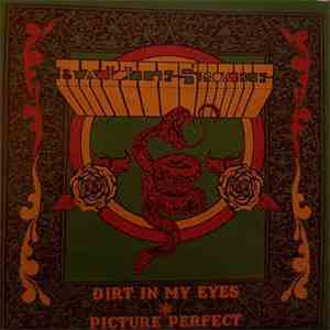 Rattlesnake  - Dirt In My Eyes / Picture Perfect flac album