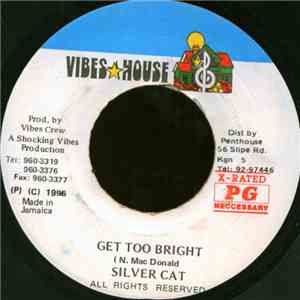 Silver Cat  - Get Too Bright flac album