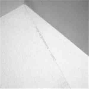 Songs for Pneumonia - Steno flac album