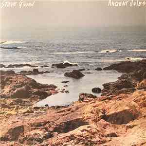 Steve Gunn - Ancient Jules flac album