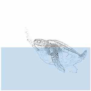 ???????????????????????????????????????? - Untitled flac album