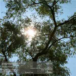 Various - Bezdna Radio Essentials 006 flac album