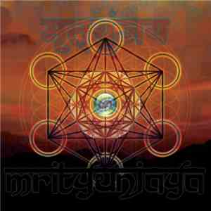 Various - Mrityunjaya - 2011 Japan Tsunami Relief flac album