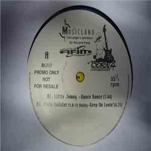 Various - Musicland 717 flac album