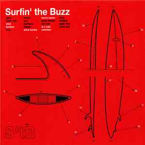 Various - Surfin' The Buzz flac album