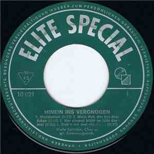 Viele Solisten, Chor u. gr. Stimmungsorch. - Hinein Ins Vergnügen flac album