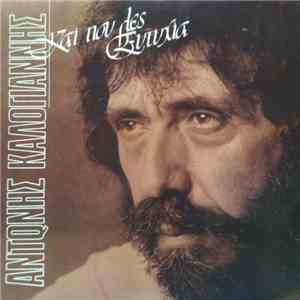 Αντώνης Καλογιάννης - Και Που Λες Ευτυχία flac album