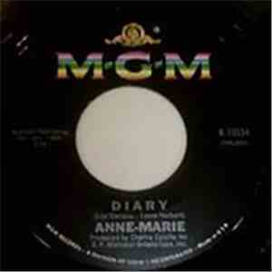Anne-Marie - Diary / You Won't Be Sorry Baby flac album