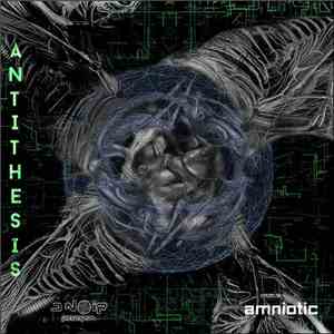 Antithesis  - Amniotic flac album