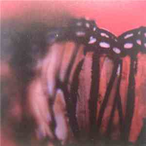 Birchville Cat Motel - Crestfallen / Winters Crackling Glory flac album