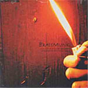 Brassmunk - Push Up / Get Right (Bring It) flac album