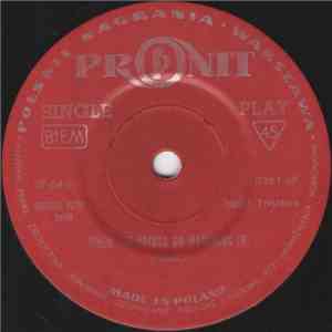 Brigitte Petry - When The Saints Go Marshing In flac album