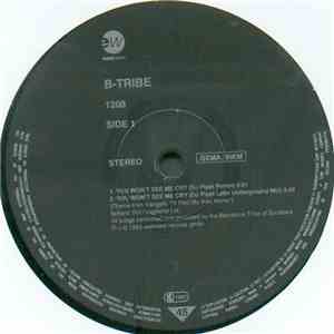 B-Tribe - You Won't See Me Cry flac album
