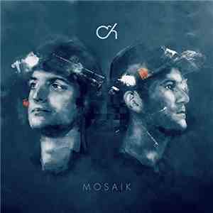 Camo & Krooked - Mosaik flac album