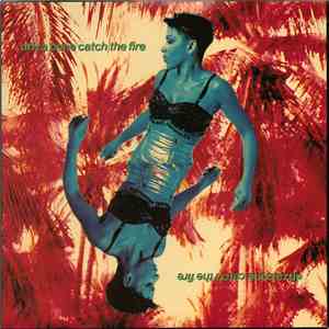 Driza Bone - Catch The Fire flac album