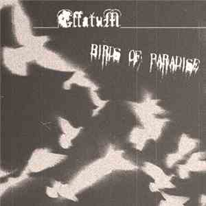 Effatum - Birds Of Paradise flac album
