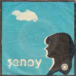 Şenay - Dünden Bugüne / Sessiz Bir Yer flac album
