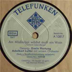 Erwin Hartung, Adalbert Lutter Mit Seinem Orchester - Am Mississippi Wächst Auch Ein Wein / Ich Lausch' So Gern Des Rheines Wellen flac album