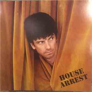 Euros Childs - House Arrest flac album
