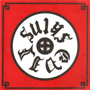 Evil Skins - Docteur Skinhead flac album