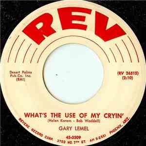 Gary LeMel - What's The Use Of My Cryin' flac album