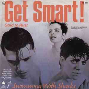 Get Smart! / Gone Fishin' - Matt Piucci & Tim Lee - Gold To Rust / Home flac album