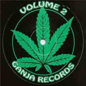 Hardware  / DJ Hype - Volume 2 flac album
