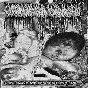 Horrid Visceral Extraction - Choped, Grind, Re Armed And Boiled To Finally Be Served flac album