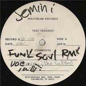 Jemini The Gifted One - Funk Soul Sensation (Remixes) - Test Pressing flac album