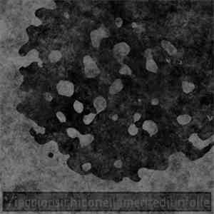 Khryzaliis - Viaggio Psichico Nella Mente Di Un Folle flac album