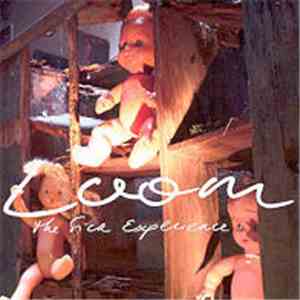 Loom  - The Sick Experience flac album