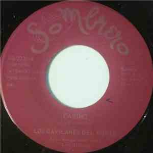 Los Gavilanes Del Norte Accompanied by Mingo Saldivar y Los Jinetes  - Cariño / El Chiflador flac album