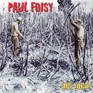 Paul Foisy - Big Sugar flac album