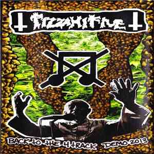 Pizza Hi Five - Back To The 4 Track Demo 2013 flac album