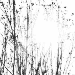 Saito Koji - My Little Happiness flac album