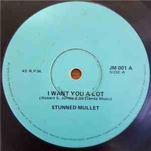 Stunned Mullet - I Want You A Lot flac album