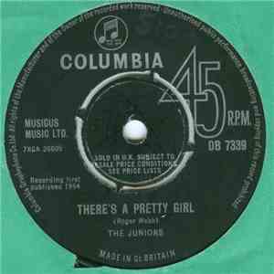 The Juniors  - There's A Pretty Girl flac album