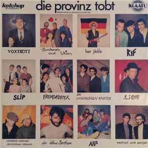Various - Die Provinz tobt - Rhein-Neckar Regionalsampler flac album