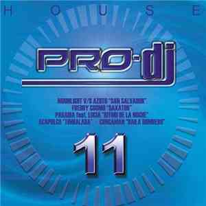 Various - Pro-DJ House 11 flac album