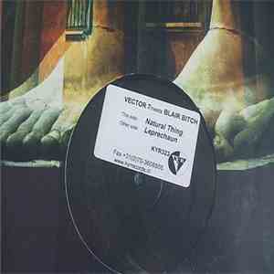 Vector 7 Meets Blair Bitch - Natural Thing / Leprechaun flac album