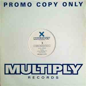 Carol Bailey - Feel It flac album